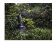 Kopilua Falls Hana High by Michael Polk Limited Edition Pricing Art Print