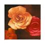 Rose Bloom I by Brent Young Limited Edition Pricing Art Print