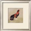 French Rooster I by Katharine Gracey Limited Edition Pricing Art Print
