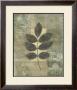 Leaf Textures Ii by Norman Wyatt Jr. Limited Edition Print