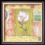 Magnolia Bud by Krista Sheldon Limited Edition Print