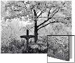 Crucifix Near Tree In Cemetery by I.W. Limited Edition Print