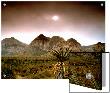 Mojave Desert, Las Vegas, Nevada by M.N. Limited Edition Print