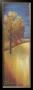 Toms Trees I by Paula Radvansky Limited Edition Pricing Art Print