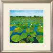 Waterlilies by Alexander Hamawi Limited Edition Print