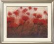 Poppy Luck by Gordon Limited Edition Pricing Art Print