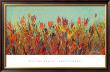 Summer Colors by Gary Max Collins Limited Edition Print