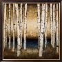 Birch Landing by Patrick St. Germain Limited Edition Print