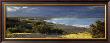Punta Tombo, Argentina by Markus Renner Limited Edition Print