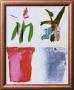 Pots De Fleurs No. 115-116 by Gerard Gasiorowski Limited Edition Print