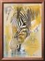 Wildlife Zebra by Joadoor Limited Edition Print