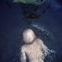 A Boy Swimming In A Lake, Sweden by Mikael Andersson Limited Edition Pricing Art Print