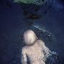 A Boy Swimming In A Lake, Sweden by Mikael Andersson Limited Edition Print