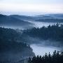 High Angle View Of A River, Vastra Gotaland County, Sweden by Ove Eriksson Limited Edition Print