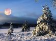 Snowy Landscape Underneath The Moon by Christian Lagerek Limited Edition Pricing Art Print