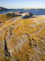 Cliffs By The Sea In Bohuslan, Sweden by Anders Ekholm Limited Edition Print