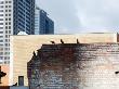 Brick Wall With Birds, Cityscape In Background by Barbara Fischer Limited Edition Pricing Art Print