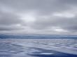 Beach Covered With Snow, Snaefellsnes, Iceland by Atli Mar Limited Edition Print