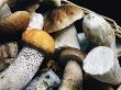 Close-Up Of Edible Mushrooms In A Basket by Ann Eriksson Limited Edition Pricing Art Print