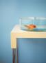 A Goldfish In A Shallow Bowl by Helen Pe Limited Edition Pricing Art Print