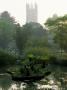 Oxford Botanic Garden: Bog Garden With Gunnera Manicata And Wooden Bridge With Magdalen College by Clive Nichols Limited Edition Print