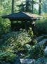 The Indonesian Gazebo And Koi Pond In The Woodland, Designers: Ilga Jansons And Mike Dryfoos by Clive Nichols Limited Edition Print