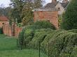 Packwood House, Warwickshire - Massive Cloud Hedging Beside The Topiary Garden In Winter by Clive Nichols Limited Edition Print