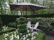 Keukenhof Gardens, Holland - Formal White Garden With Box Hedging And Topiary, Seats And Parasol by Clive Nichols Limited Edition Print