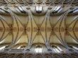 Wells Cathedral, Somerset, 13Th Century Vaulted Ceiling by David Clapp Limited Edition Pricing Art Print