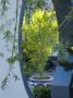 View Through Moongate To Citrus Tree In Blue And White Ceramic Pot by Clive Nichols Limited Edition Pricing Art Print