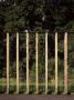 Gateway Orientation Centre, Loch Lomond, Scotland, Green Oak Fins, Bennetts Associates Architects by Keith Hunter Limited Edition Print