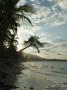 Playa Dorada Beach, Near Puerto Plata, Dominican Republic by Natalie Tepper Limited Edition Print