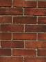 Backgrounds - Red Clay Brick And Mortar Wall by Natalie Tepper Limited Edition Print
