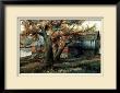 The Old Maple by Murrey Smith Limited Edition Print