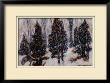 Snow Mist by Tom Mathews Limited Edition Pricing Art Print