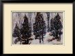 Snow Mist by Tom Mathews Limited Edition Print