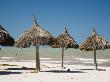 Thatch Palapa, Progreso, Gulf Of Mexico, Yucatan Peninsula, Mexico by Julie Eggers Limited Edition Print