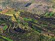 Rice Terraces, Leuy Villge, Honghe, Yunnan, China by Charles Crust Limited Edition Print