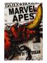 Marvel Apes #4 Cover: Marvel Universe by Watson John Limited Edition Print