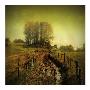 Another Place I by Crina Prida Limited Edition Print