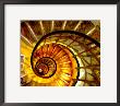 Abstract Nautilus Spiral Staircase by Elaine Plesser Limited Edition Print