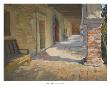 Nido Del Alma by Robin Hall Limited Edition Print