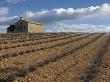 Sloping Field Of Small Plants With An Ancient Chapel Against The Sky by Stephen Sharnoff Limited Edition Print