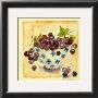 Blue Grapes by Alie Kruse-Kolk Limited Edition Print