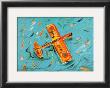 Airplane by Cynthia Hudson Limited Edition Print