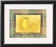 Lemon by Stela Klein Limited Edition Pricing Art Print