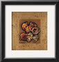 Pomegranates And Grapes by Karel Burrows Limited Edition Print