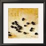 Olea by Maritta Haggenmacher Limited Edition Print