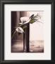 Bouquet Blanc I by Olivier Tramoni Limited Edition Pricing Art Print
