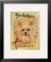 Yorkshire Terrier by Claire Pavlik Purgus Limited Edition Print